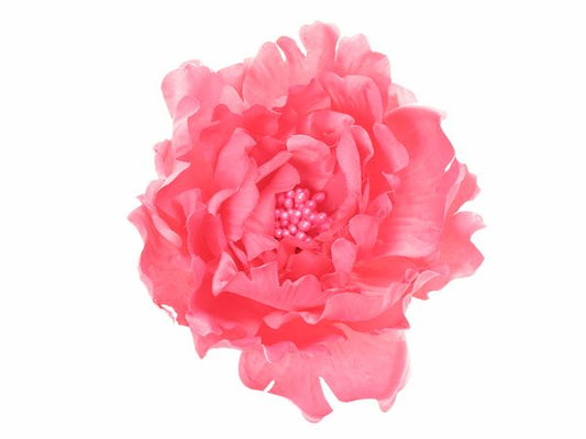 Pink Hair Flower Hair Clip Clamp Grip Fascinator Slide Ladies Girls Wedding